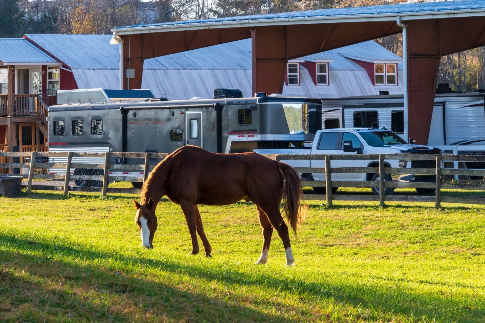 What's the Best Bedding for Horse Trailer Living Quarters?
