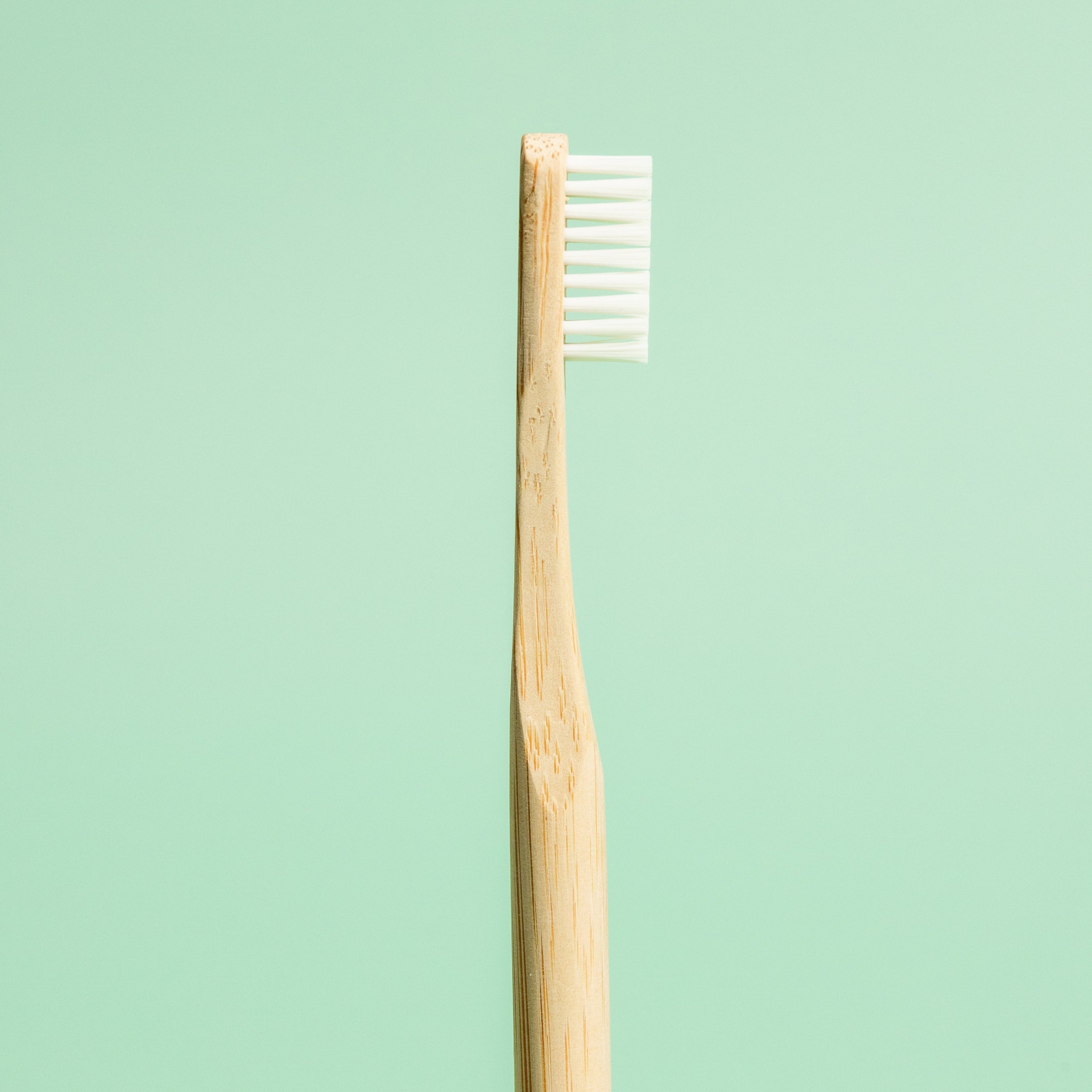 Standard Bamboo Toothbrush