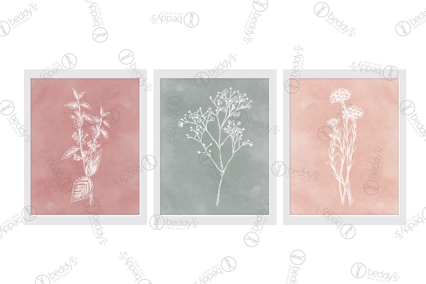 Red, green, and pink backgrounds with different white flowers digital artworks showcased in frames.
