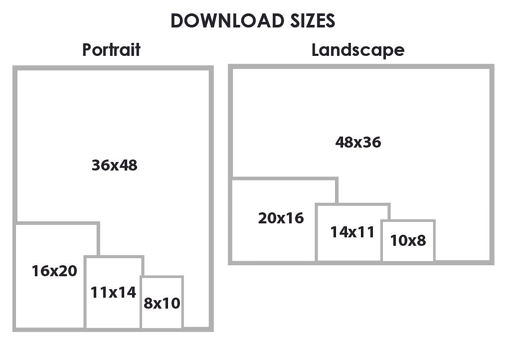 An infographic explaining digital artwork size dimensions for landscape and portrait options.